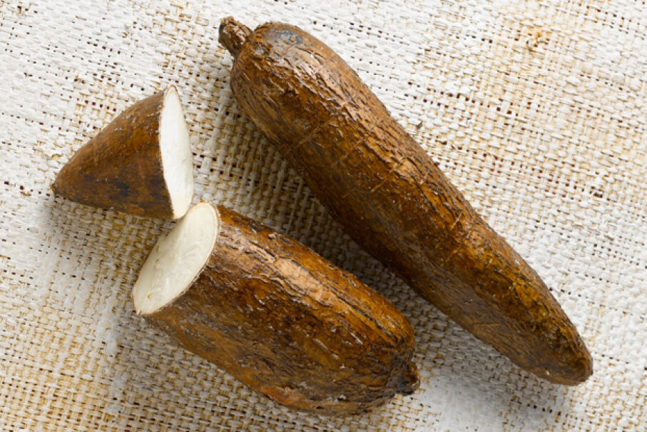 Cassava Foods You Should Never Eat Raw Howstuffworks