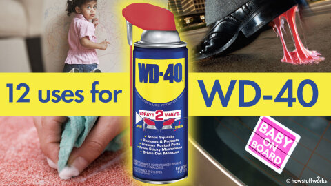 wd 40 uses for bike