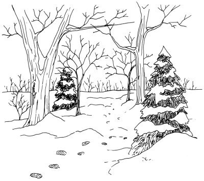 How To Draw A Woodland Trail Howstuffworks