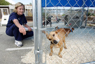 How The Humane Society Works Howstuffworks