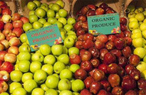 Resultado de imagem para organic food