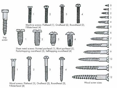 screw types and sizes