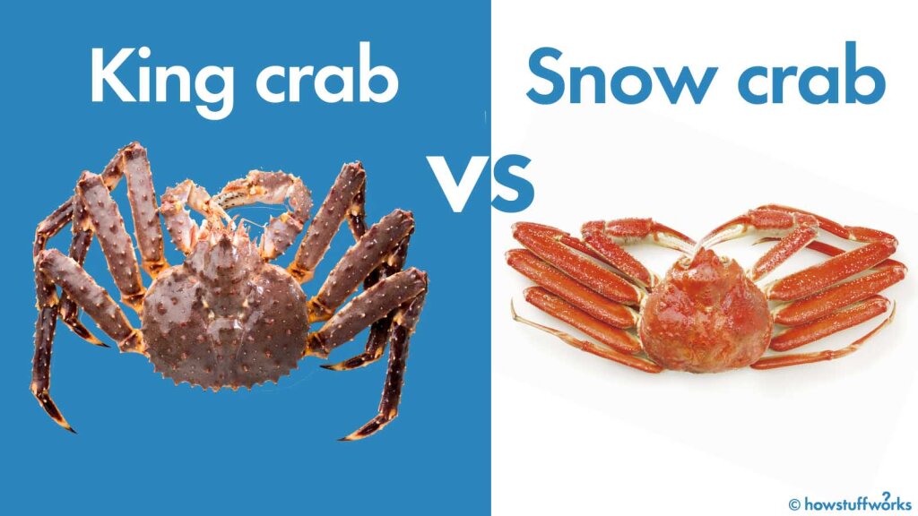 What's The Difference Between Snow Crab And King Crab? | HowStuffWorks