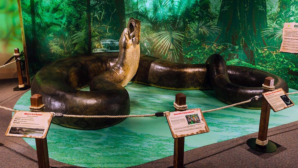 The Massive Titanoboa Snake Once Ruled the Colombian Rainforest