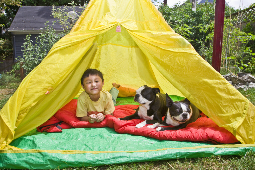 5 Ideas for Camping in the Backyard | HowStuffWorks