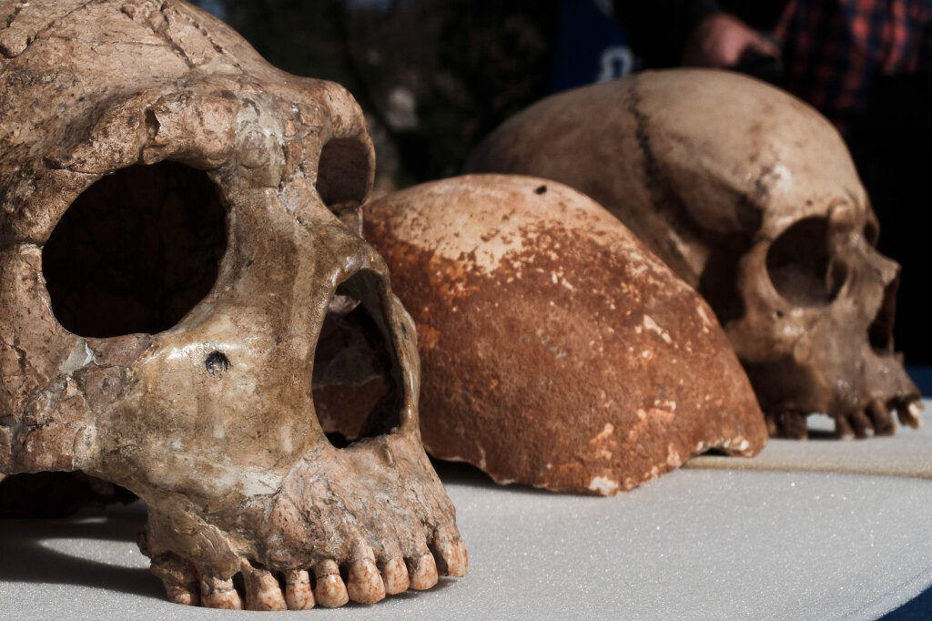 10 Extinct Hominids | HowStuffWorks