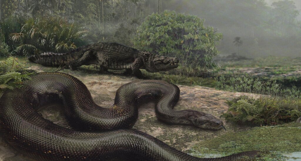 what-s-the-largest-snake-that-has-ever-existed-howstuffworks