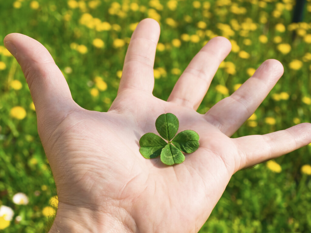 Are Four Leaf Clovers Actually Lucky