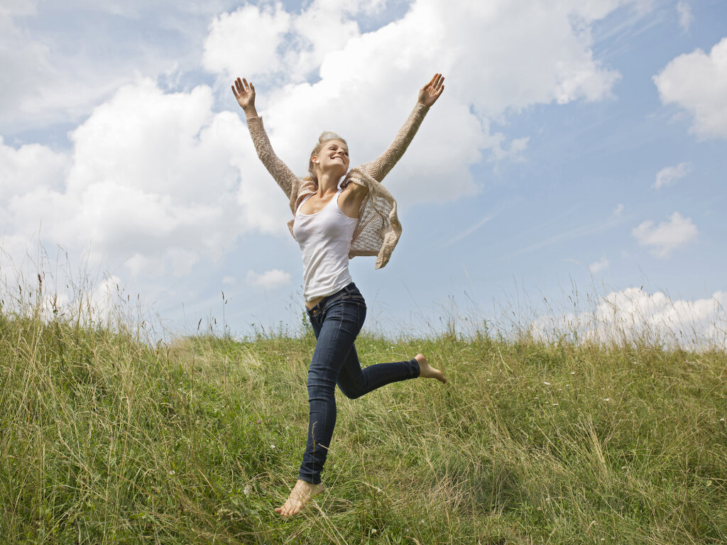 The Meaning Of Pursuit Of Happiness Howstuffworks