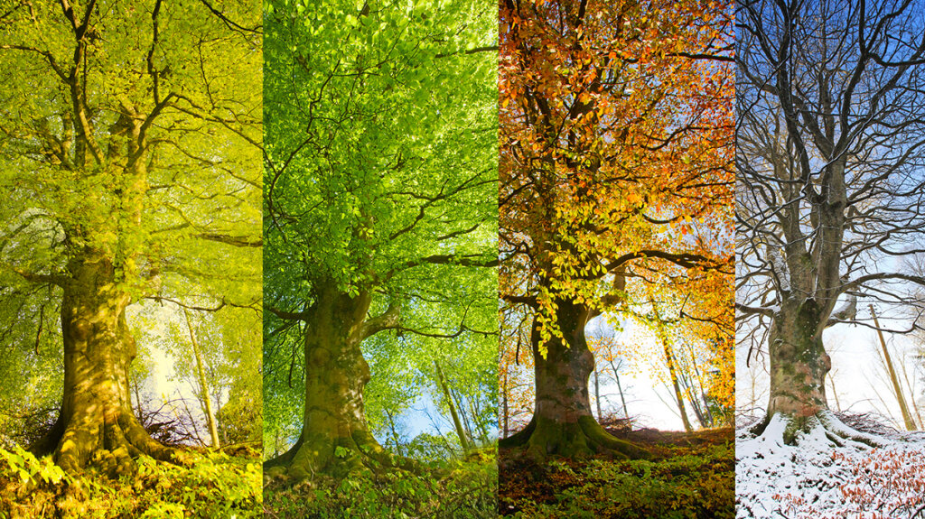 Why Do Four Seasons Occur On Earth The Earth Images Revimageorg