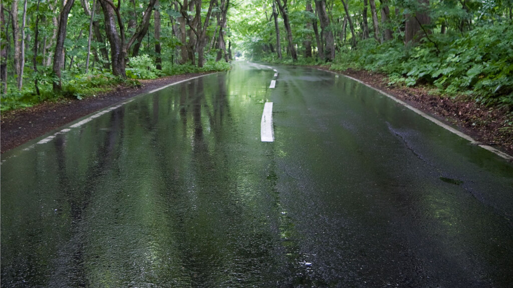 what-causes-petrichor-the-earthy-smell-after-rain-howstuffworks