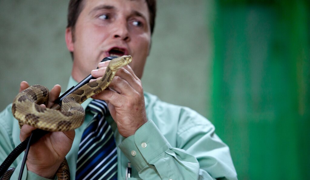 Where Caution Reigns: Professional Snake Handling - How Snake Handlers ...