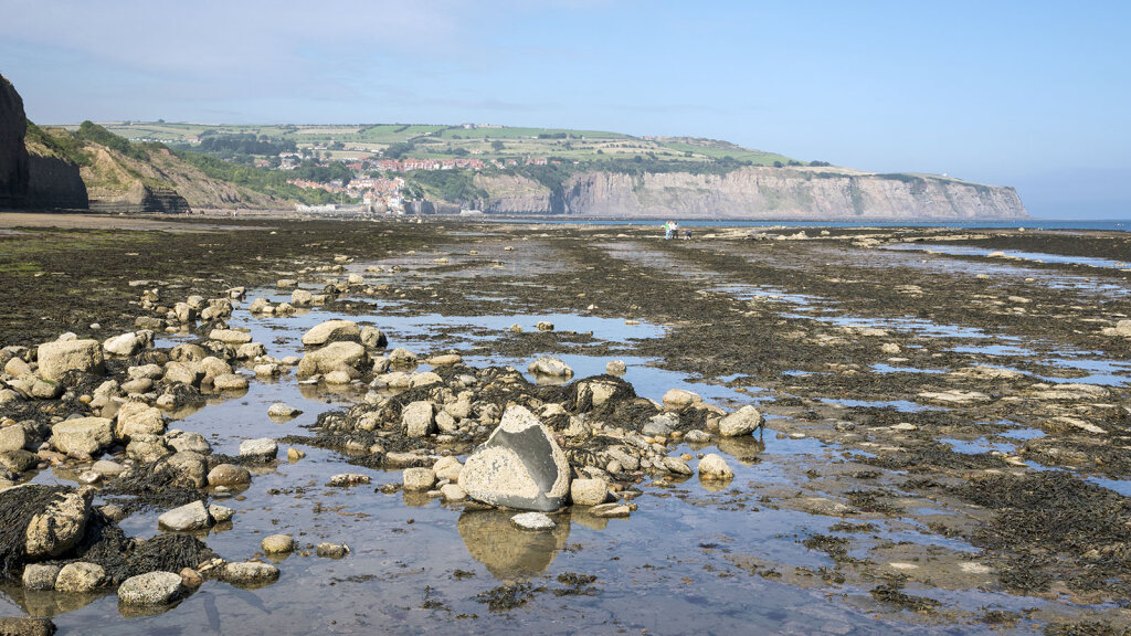 what-causes-high-tide-and-low-tide-why-are-there-two-tides-each-day