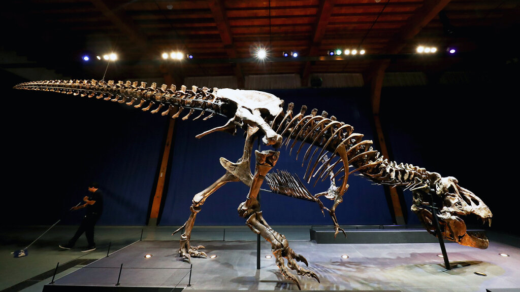 Why Did the T. Rex Have Such Puny Arms? | HowStuffWorks