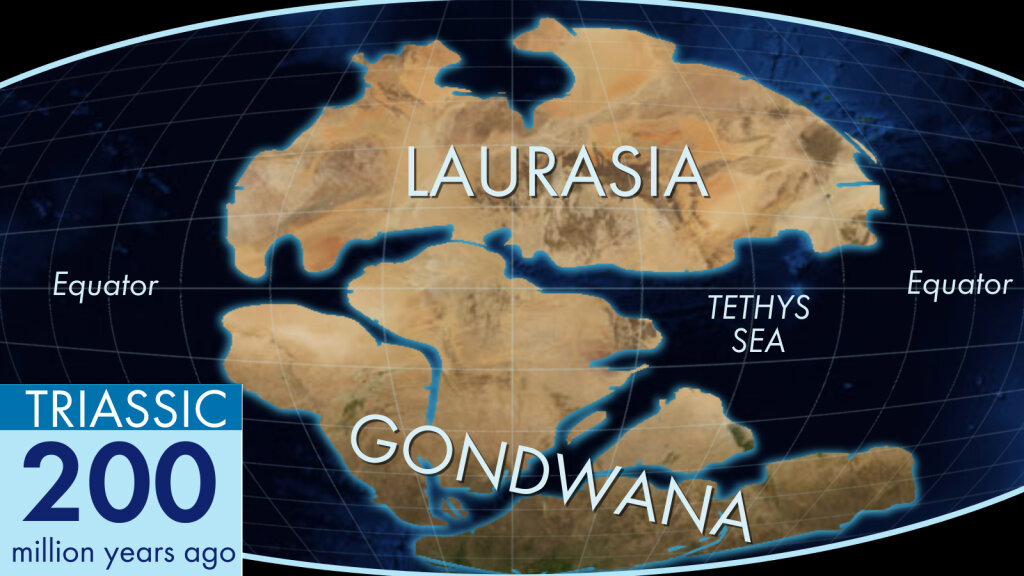 How the Ancient Land Blob Gondwana Became Today's Continents | HowStuffWorks