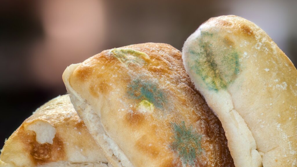 What If You Eat Moldy Bread? 