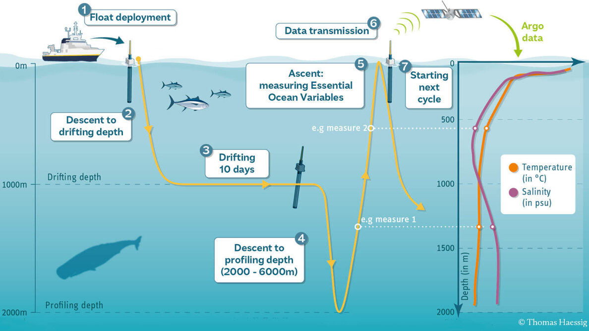 NOAA's Argo Program Has Been Observing the Oceans for Two Decades ...