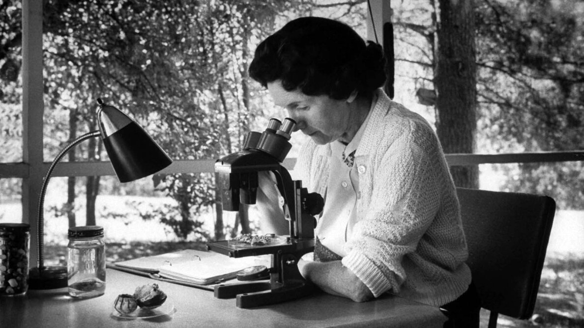 10-things-you-should-know-about-rachel-carson-howstuffworks