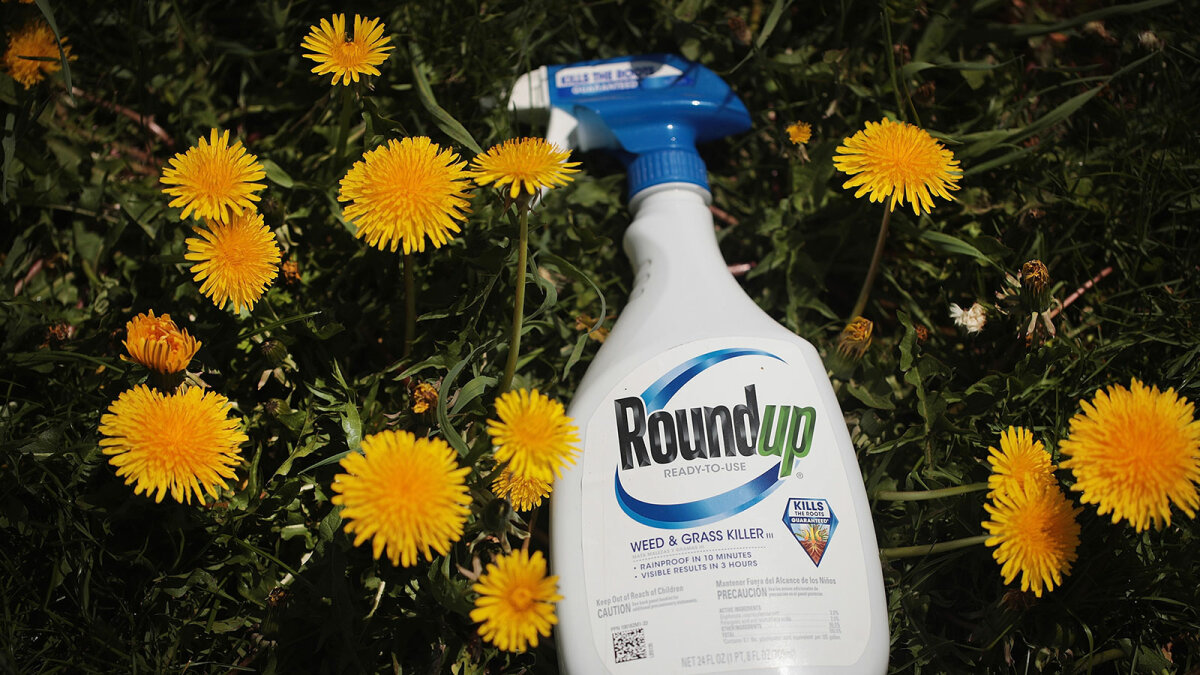 How Does the Herbicide Glyphosate(Roundup) Work
