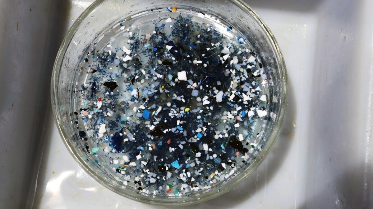 There's a Second Huge Plastic Garbage Patch in the Pacific