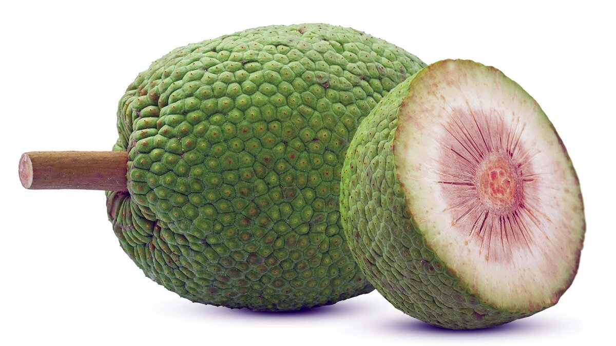 What Is Breadfruit In Filipino