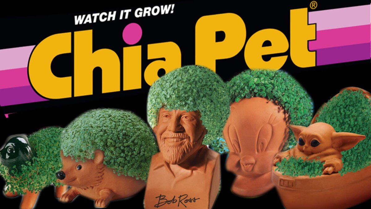 Ch Ch Ch Chia You Know The Jingle Now Hear The Chia Pet Story Howstuffworks