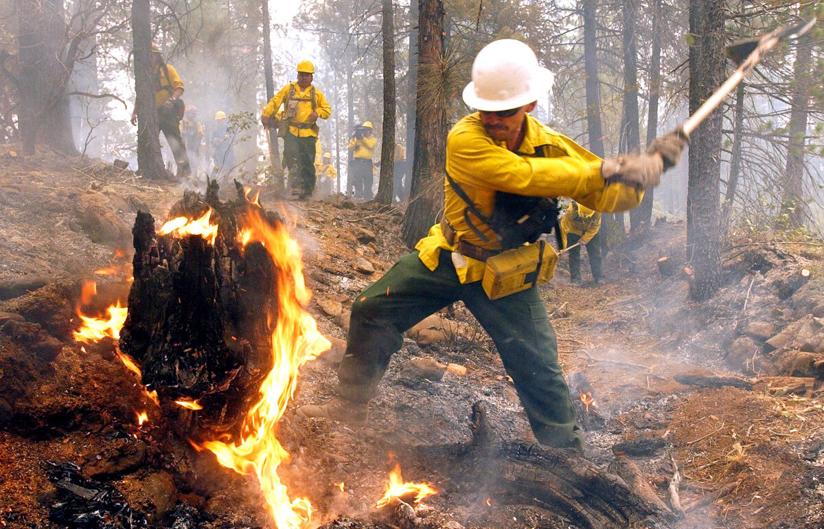 How Controlled Burns Work | HowStuffWorks