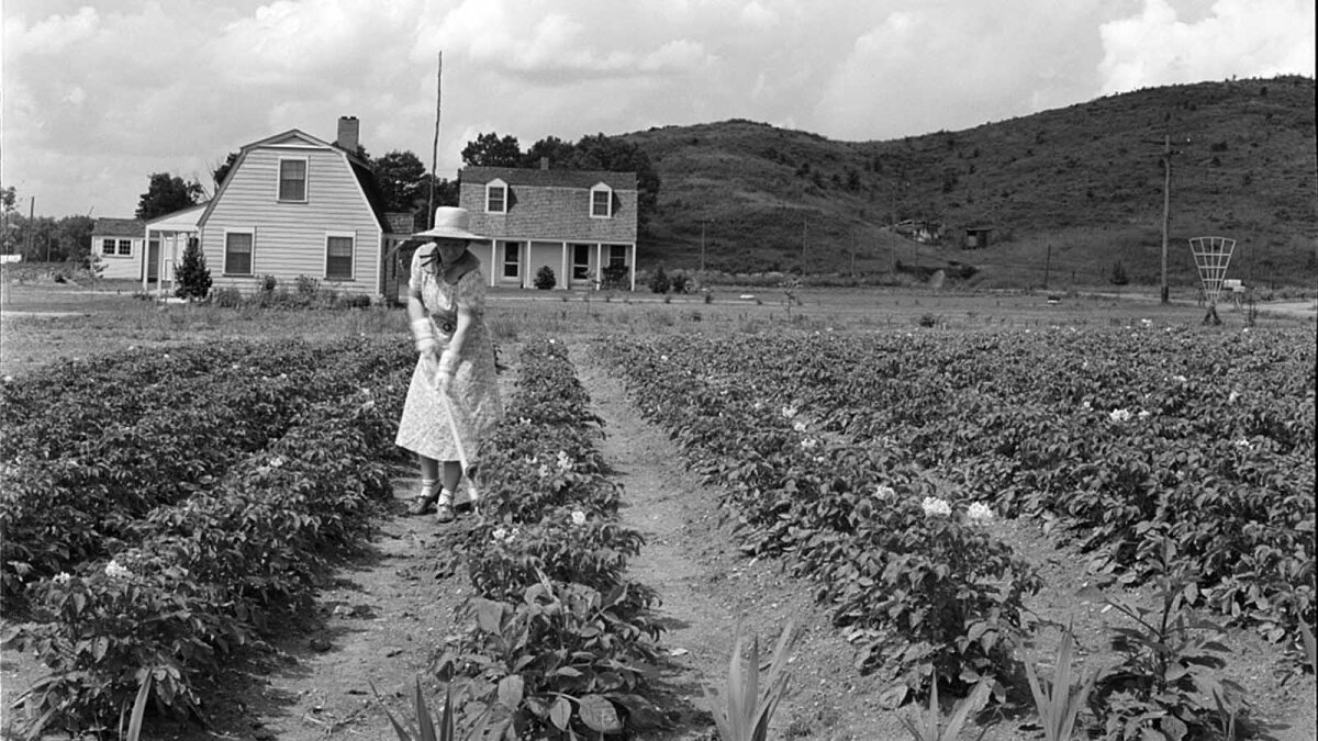 Free Land How the Homestead Act Helped America Expand Westward