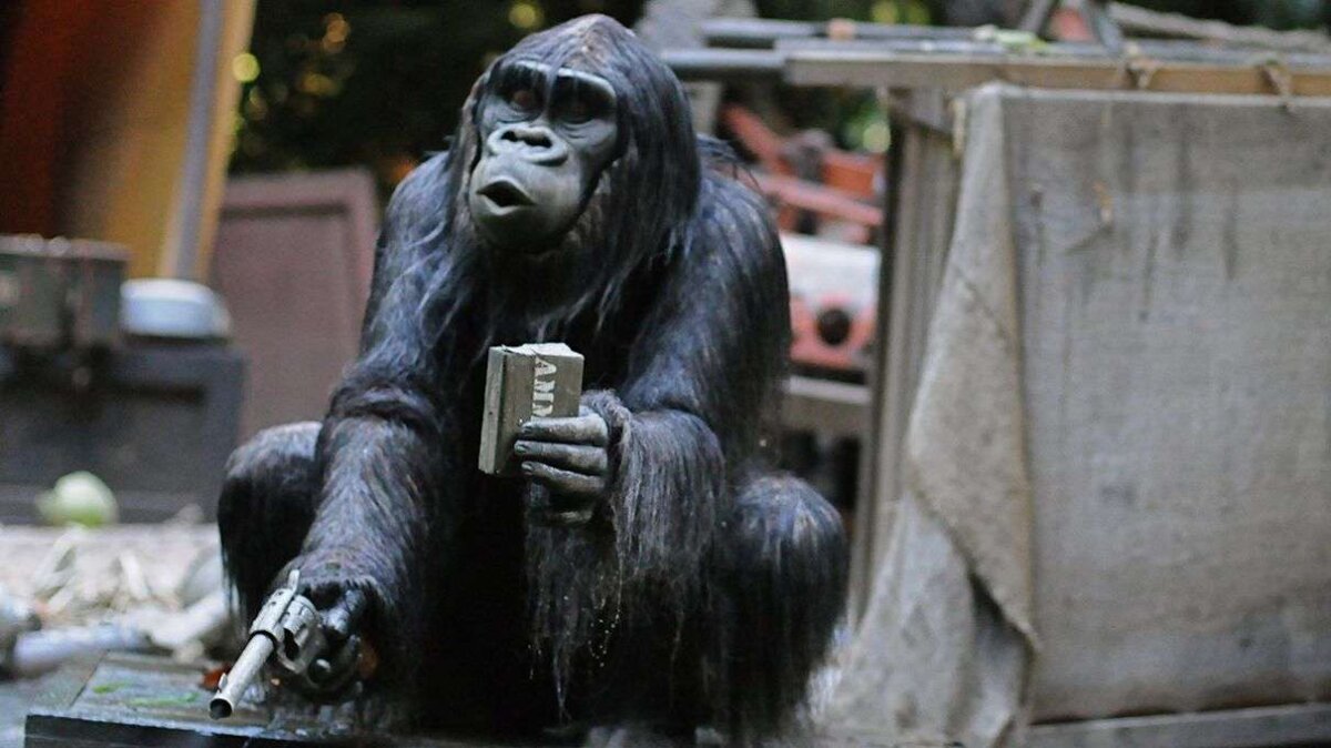 Should We Worry About Apes Learning To Use Handguns Howstuffworks