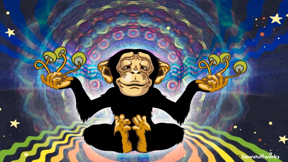 The Stoned Ape Hypothesis: Did Magic Mushrooms Influence Human