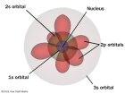 What are the four fundamental forces of nature? | HowStuffWorks