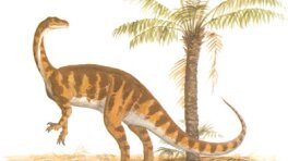 early triassic dinosaurs