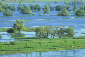 Flood plains like this one help avoid a deluge, but development removes many of nature's protective barriers.
