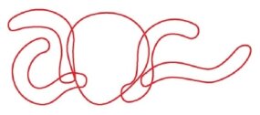 كيفية رسم الحيوانات - كيفية رسم الأخطبوط