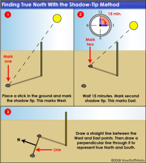 You can use a stick and the shadows from the sun to find approximate true north.