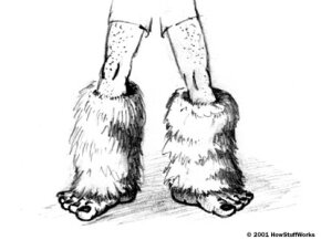 bigfoot-feet.jpg