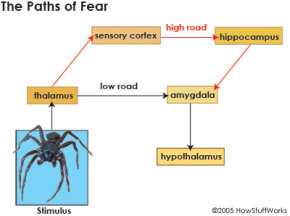 fear-7.jpg