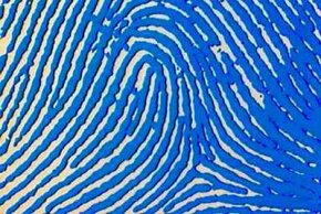 fingerprint-scanner-1.jpg