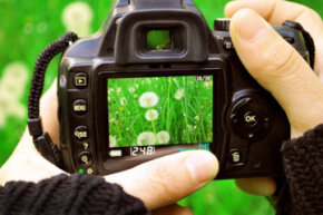 参加专门的课程可以帮助你学习最好的自然摄影技术。乐动-软件”border=