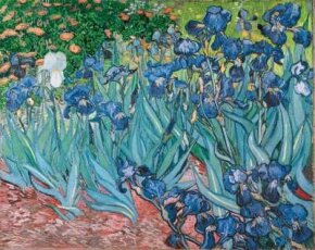 Vincent Van Gogh Paintings From Saint Remy Howstuffworks