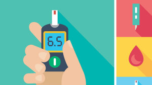 Blood Glucose and Insulin - How Diabetes Works | HowStuffWorks