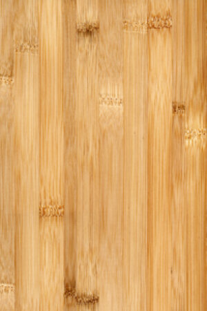 Are Bamboo Floors Really Green Howstuffworks