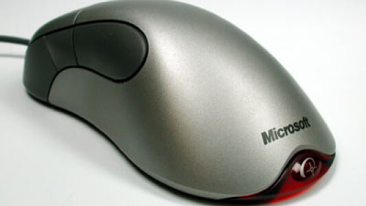 a mouse for computer
