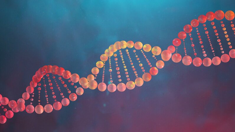 How DNA Works | HowStuffWorks
