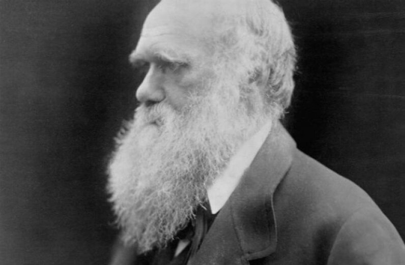 How Charles Darwin Worked | HowStuffWorks