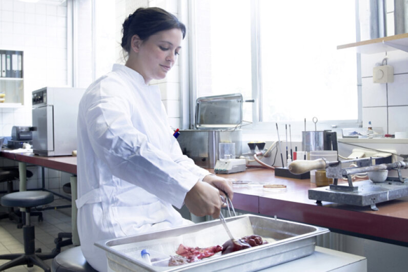 9 Professional Taster 10 Careers Where You Can Eat for a Living