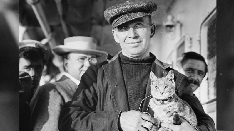 How a Cat Made Aviation History