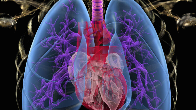 How Your Lungs Work Howstuffworks