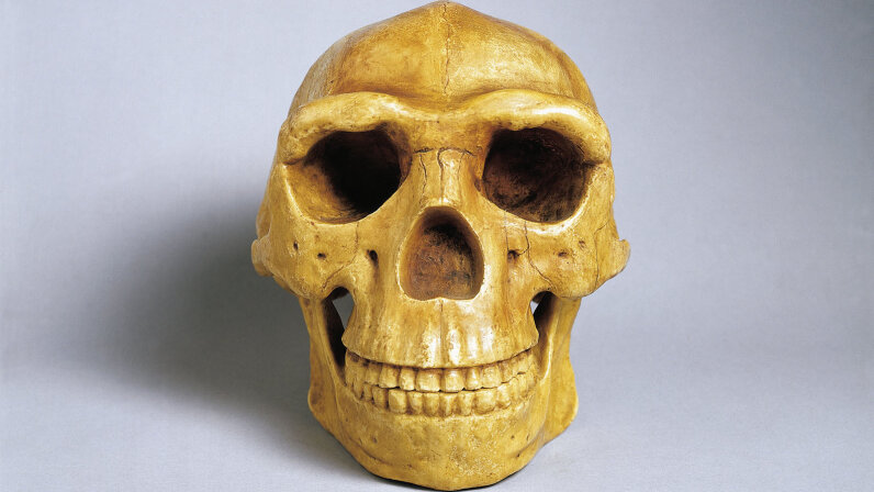 4: The Peking Man Fossils - 5 Treasures People Are Looking for Right