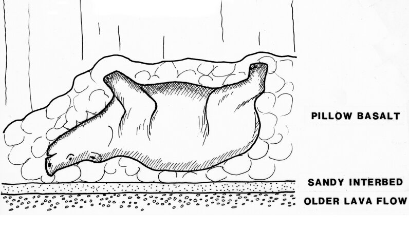 There S A Rhino Shaped Cave In Washington State HowStuffWorks   Rhino Cave 